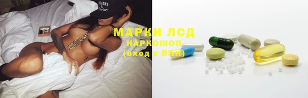 PSILOCYBIN Балабаново